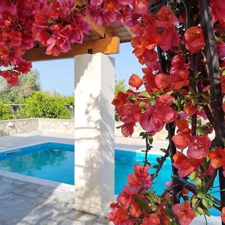 Vila Lianas Garden House Afantou Exteriér fotografie