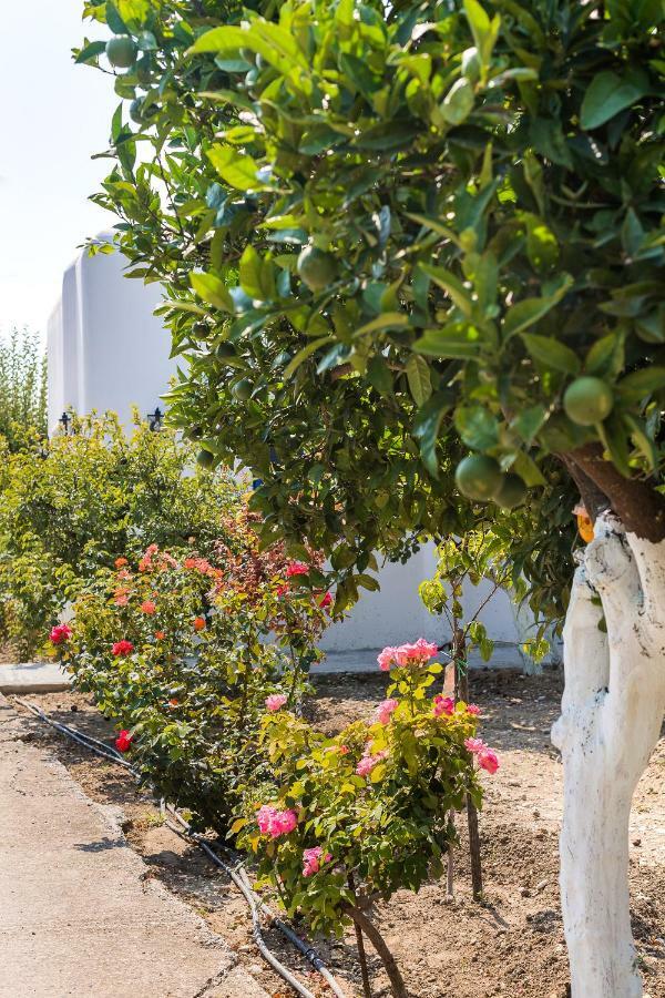 Vila Lianas Garden House Afantou Exteriér fotografie